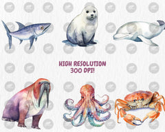 Watercolor Sea Creatures Clipart #2 | Octopus, Penguin, Turtle, Clownfish, Ocean Animals Illustrations | Instant Download for Commercial Use