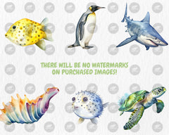 Watercolor Sea Creatures Clipart #2 | Octopus, Penguin, Turtle, Clownfish, Ocean Animals Illustrations | Instant Download for Commercial Use
