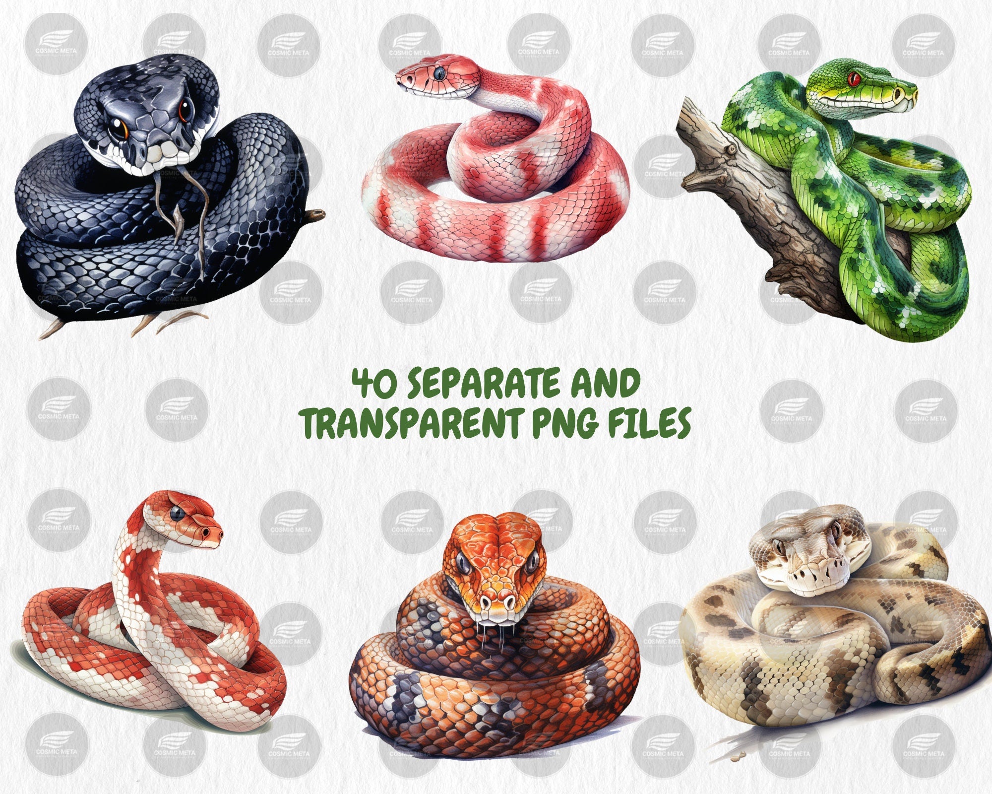 Watercolor Snakes Clipart | Cobra, Black Mamba, Anaconda, Viper, Rattlesnake, Animal Illustration | Instant Download for Commercial Use