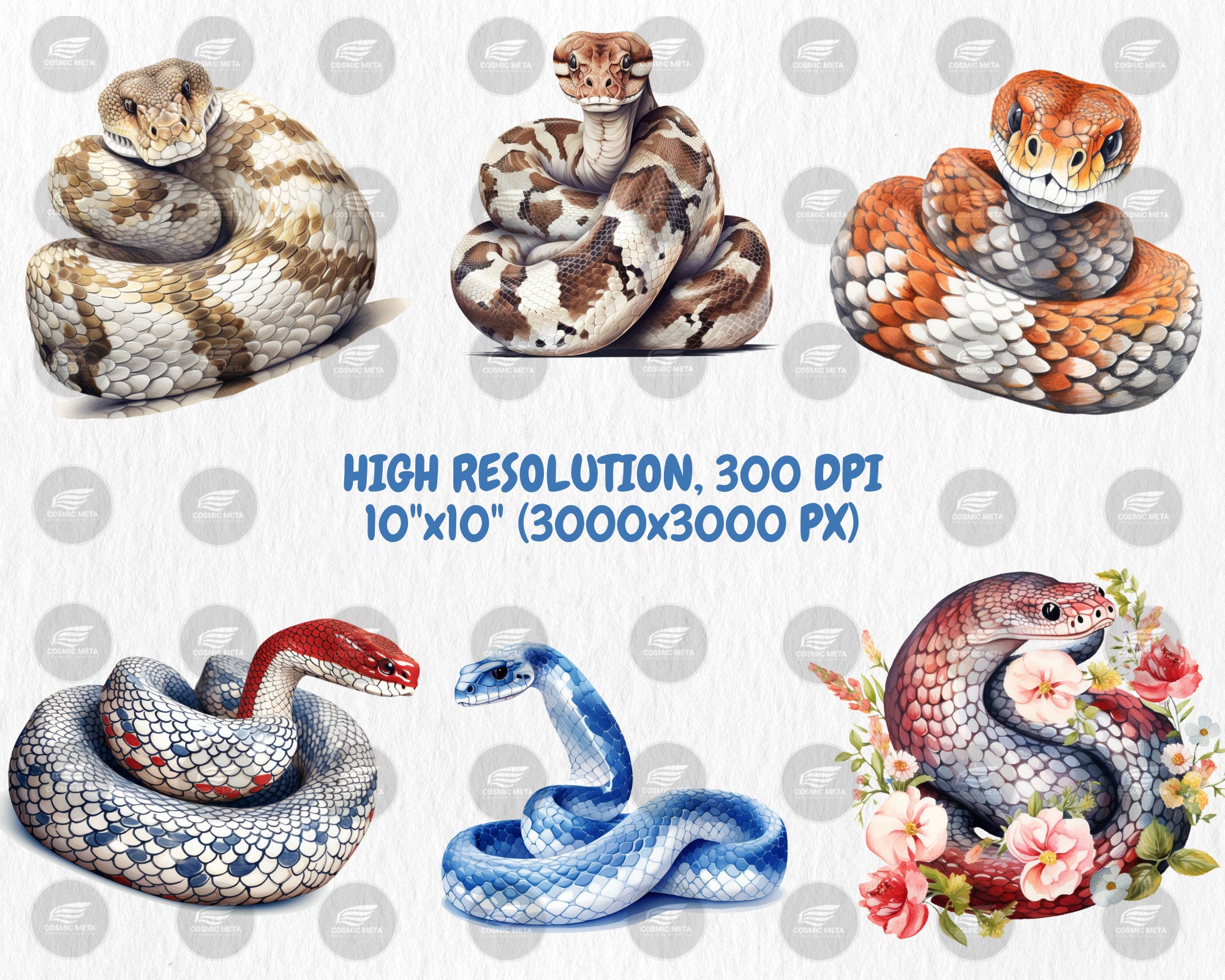 Watercolor Snakes Clipart | Cobra, Black Mamba, Anaconda, Viper, Rattlesnake, Animal Illustration | Instant Download for Commercial Use