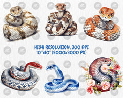 Watercolor Snakes Clipart | Cobra, Black Mamba, Anaconda, Viper, Rattlesnake, Animal Illustration | Instant Download for Commercial Use