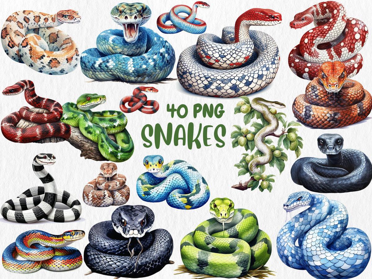 Watercolor Snakes Clipart | Cobra, Black Mamba, Anaconda, Viper, Rattlesnake, Animal Illustration | Instant Download for Commercial Use