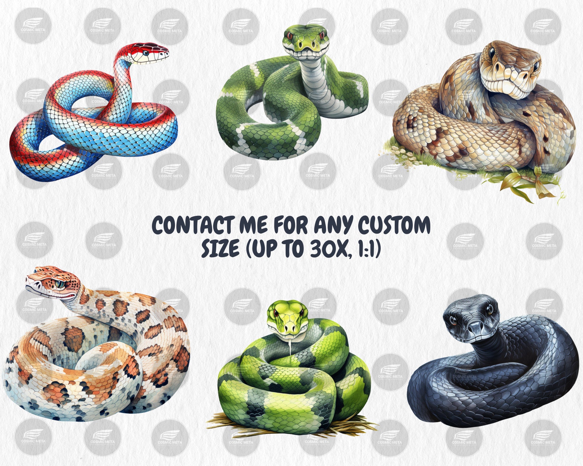 Watercolor Snakes Clipart | Cobra, Black Mamba, Anaconda, Viper, Rattlesnake, Animal Illustration | Instant Download for Commercial Use