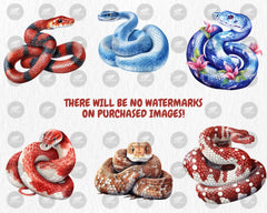Watercolor Snakes Clipart | Cobra, Black Mamba, Anaconda, Viper, Rattlesnake, Animal Illustration | Instant Download for Commercial Use