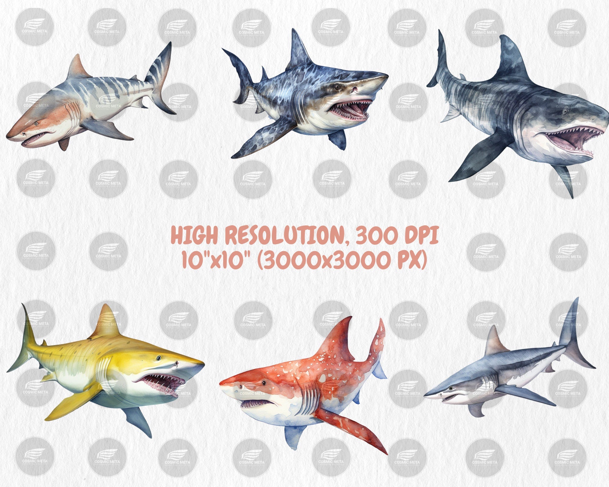 Watercolor Sharks Clipart | Great White Shark, Tiger Shark, Bull Shark, Sea Animal Illustrations | Instant Download for Commercial Use