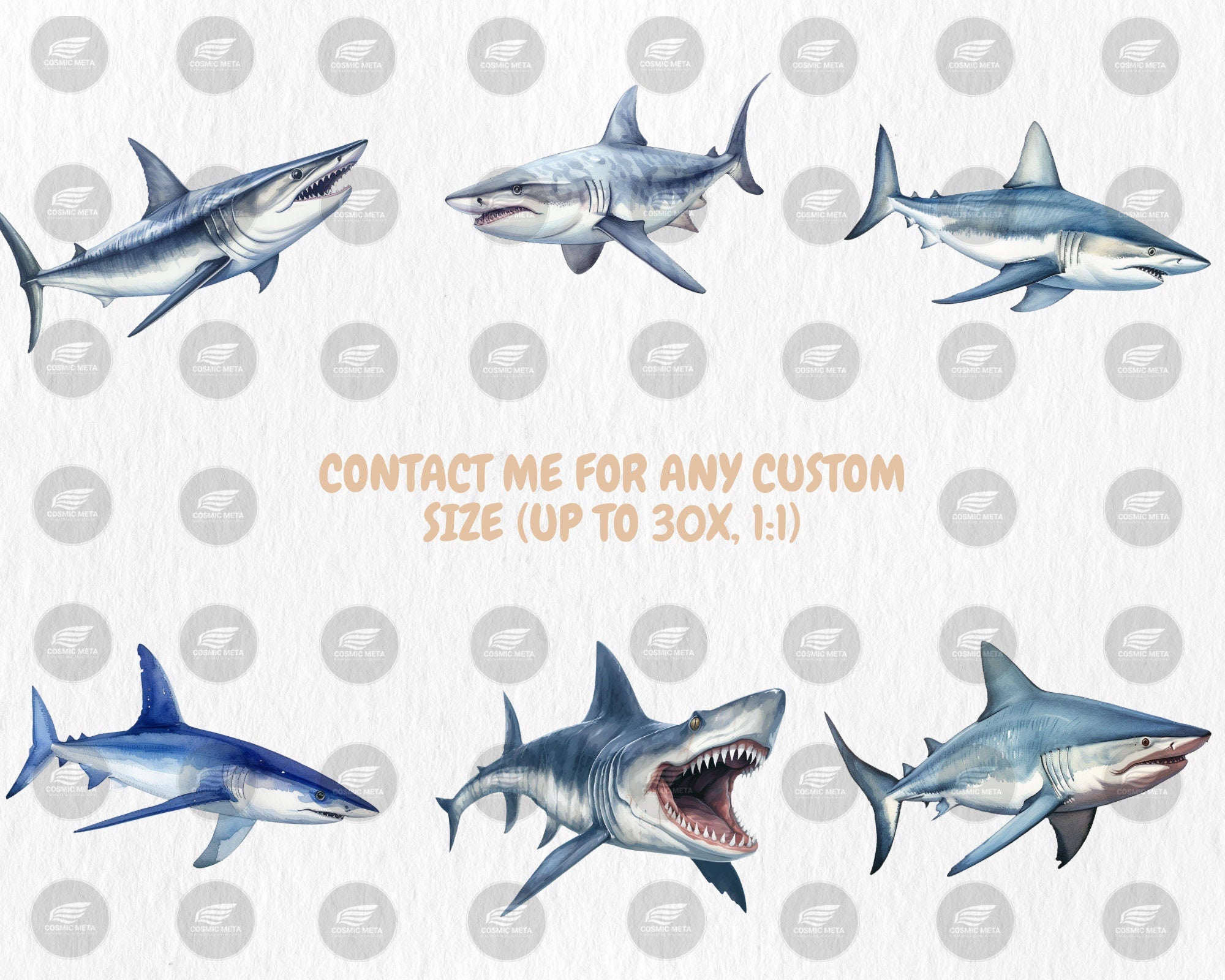 Watercolor Sharks Clipart | Great White Shark, Tiger Shark, Bull Shark, Sea Animal Illustrations | Instant Download for Commercial Use