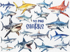 Watercolor Sharks Clipart | Great White Shark, Tiger Shark, Bull Shark, Sea Animal Illustrations | Instant Download for Commercial Use