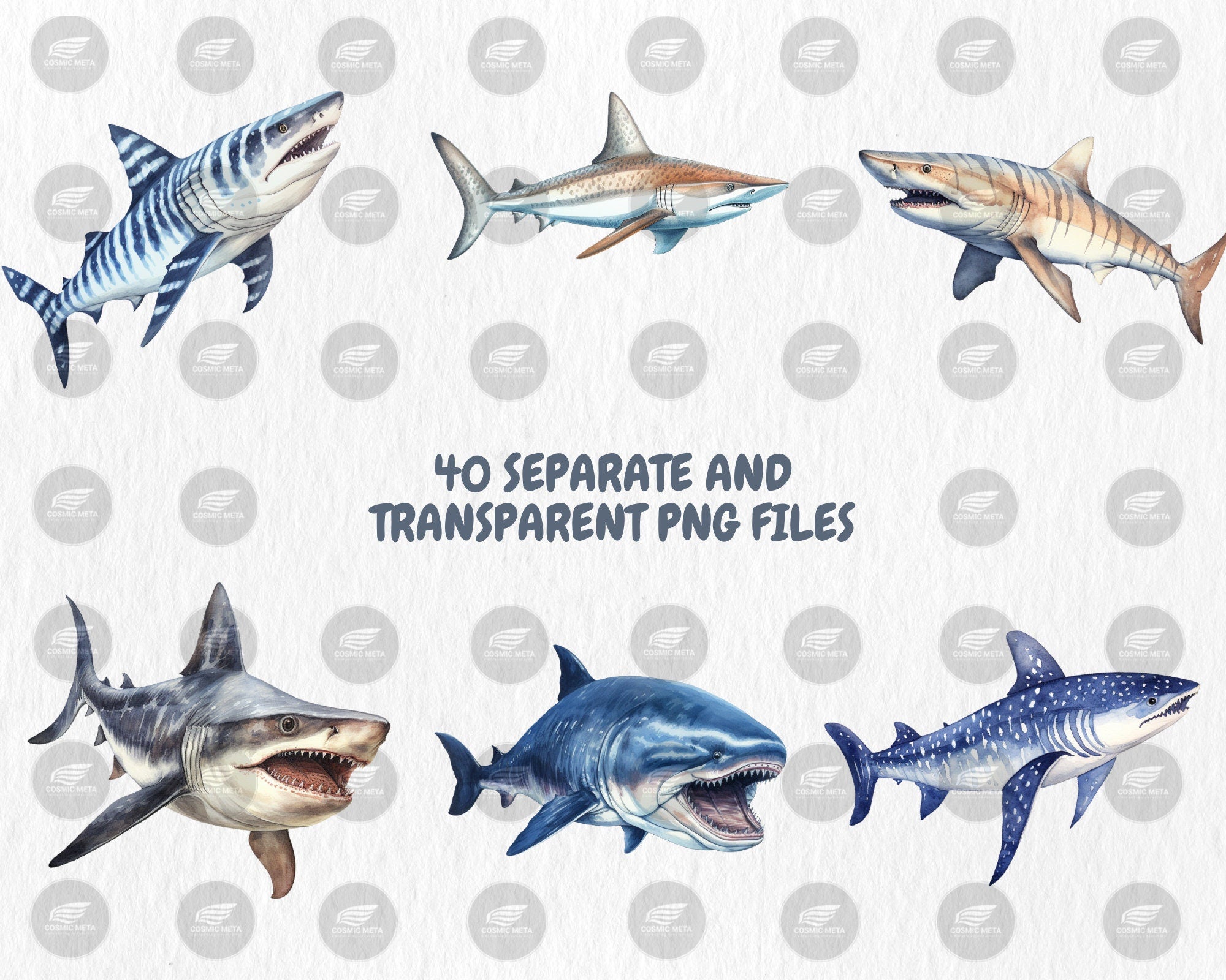 Watercolor Sharks Clipart | Great White Shark, Tiger Shark, Bull Shark, Sea Animal Illustrations | Instant Download for Commercial Use