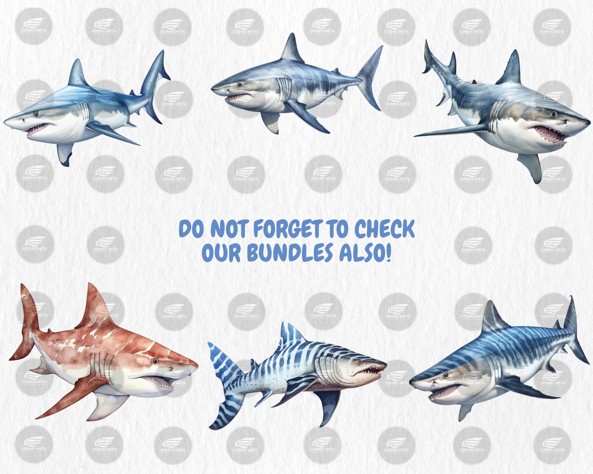 Watercolor Sharks Clipart | Great White Shark, Tiger Shark, Bull Shark, Sea Animal Illustrations | Instant Download for Commercial Use