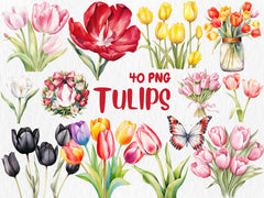 Watercolor Tulips Clipart | Spring Flower, Floral Bouquet, Red, Yellow, White Tulip Illustrations | Instant Download for Commercial Use