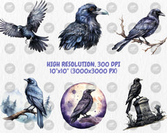 Watercolor Ravens Clipart | Black Bird, Gothic Animal, Dark and Mystic Element, Raven Illustrations | Instant Download for Commercial Use