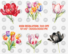 Watercolor Tulips Clipart | Spring Flower, Floral Bouquet, Red, Yellow, White Tulip Illustrations | Instant Download for Commercial Use