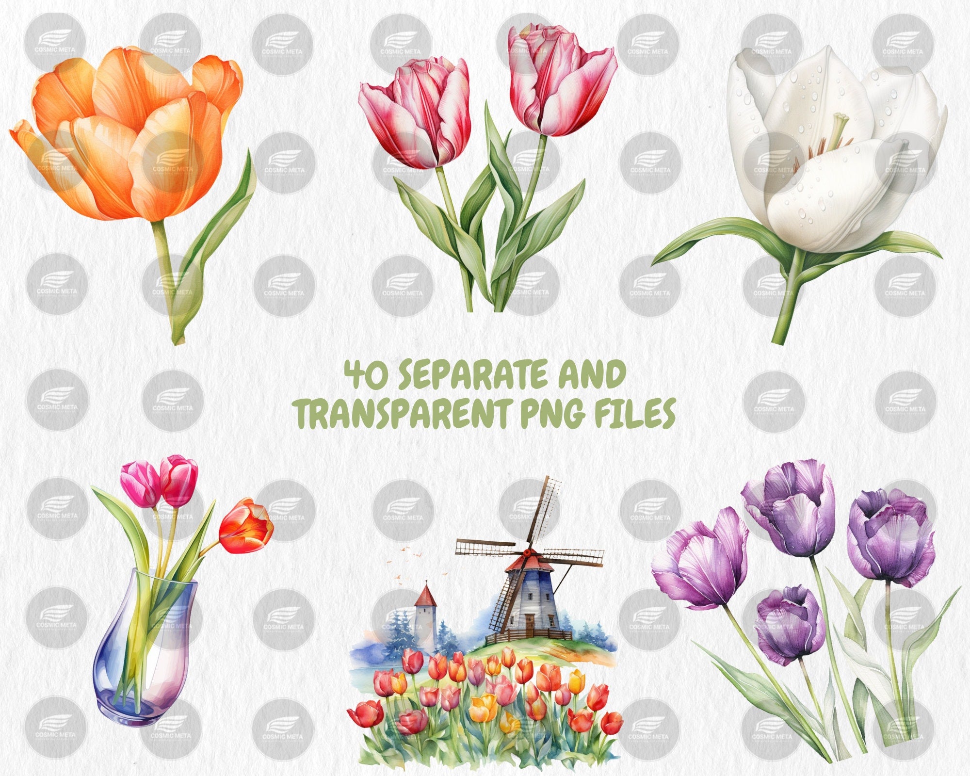 Watercolor Tulips Clipart | Spring Flower, Floral Bouquet, Red, Yellow, White Tulip Illustrations | Instant Download for Commercial Use