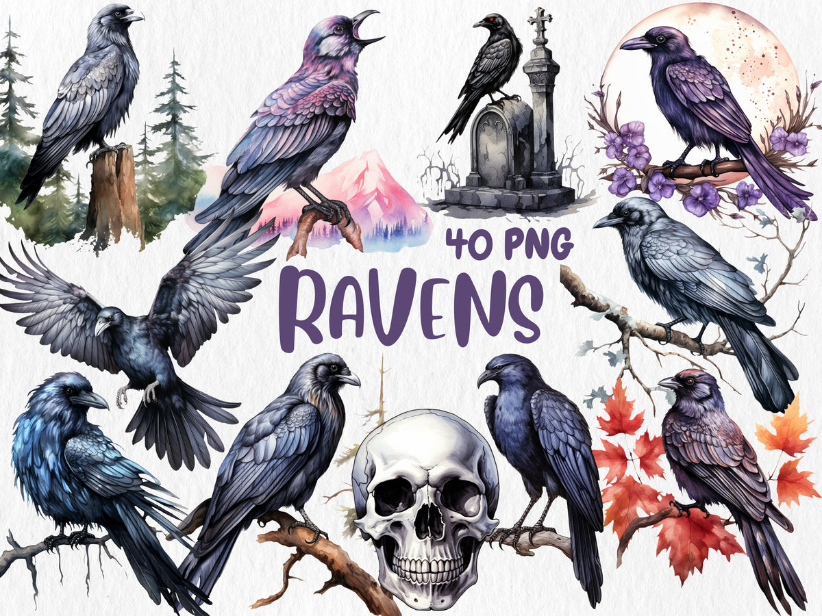 Watercolor Ravens Clipart | Black Bird, Gothic Animal, Dark and Mystic Element, Raven Illustrations | Instant Download for Commercial Use