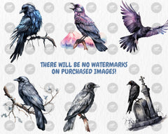 Watercolor Ravens Clipart | Black Bird, Gothic Animal, Dark and Mystic Element, Raven Illustrations | Instant Download for Commercial Use