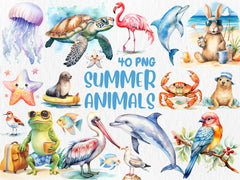 Watercolor Summer Animals Clipart | Dolphin, Sea Turtle, Jellyfish, Seagull, Starfish Illustrations | Instant Download for Commercial Use