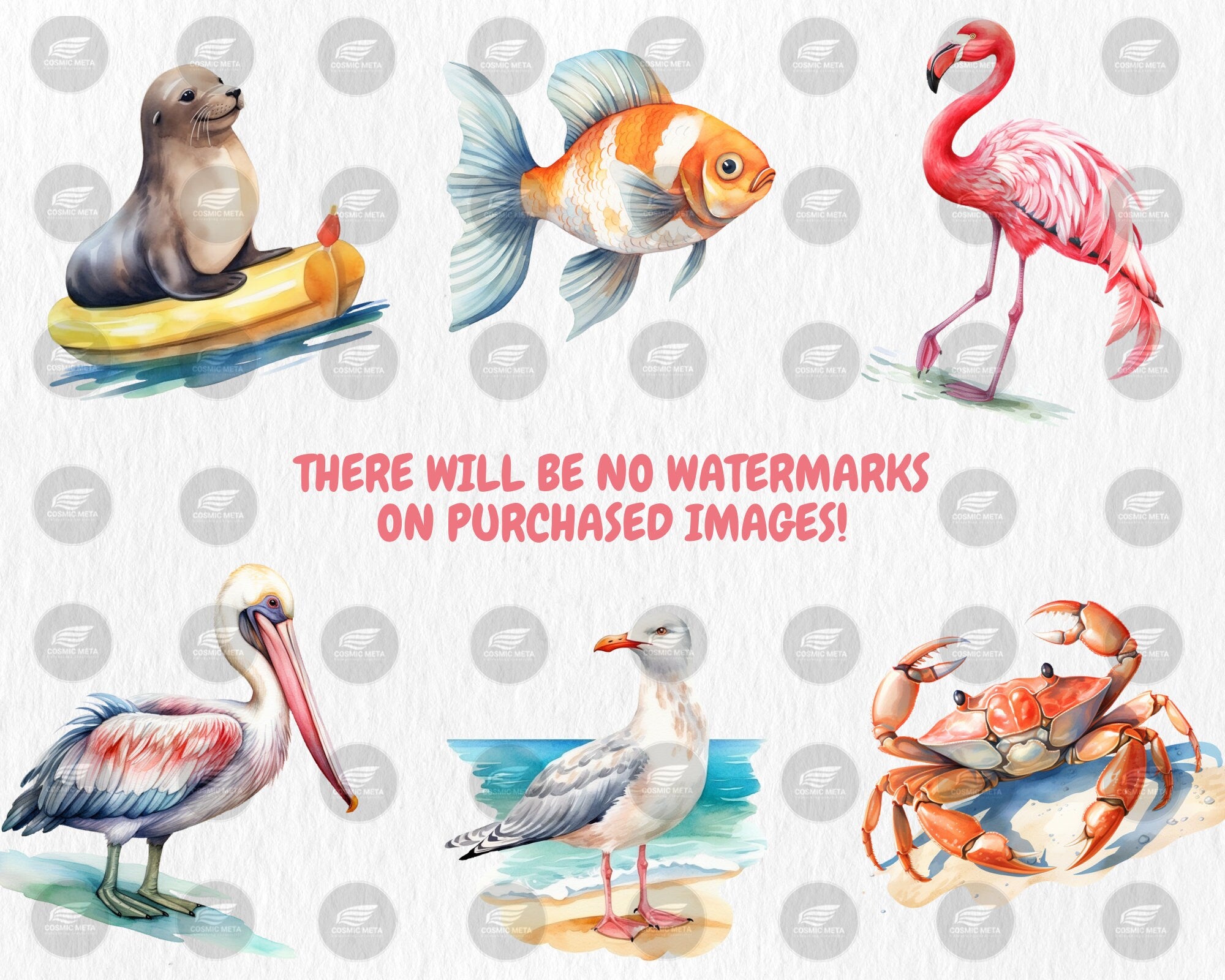 Watercolor Summer Animals Clipart | Dolphin, Sea Turtle, Jellyfish, Seagull, Starfish Illustrations | Instant Download for Commercial Use