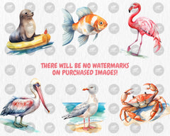 Watercolor Summer Animals Clipart | Dolphin, Sea Turtle, Jellyfish, Seagull, Starfish Illustrations | Instant Download for Commercial Use