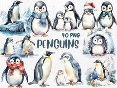 Watercolor Penguins Clipart | Winter Animals, 40 PNG Images, Transparent Background, 300 DPI, Cute Adorable Winter Penguin Illustrations