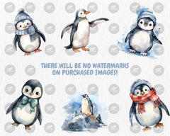 Watercolor Penguins Clipart | Winter Animals, 40 PNG Images, Transparent Background, 300 DPI, Cute Adorable Winter Penguin Illustrations