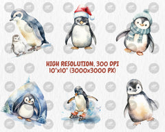 Watercolor Penguins Clipart | Winter Animals, 40 PNG Images, Transparent Background, 300 DPI, Cute Adorable Winter Penguin Illustrations