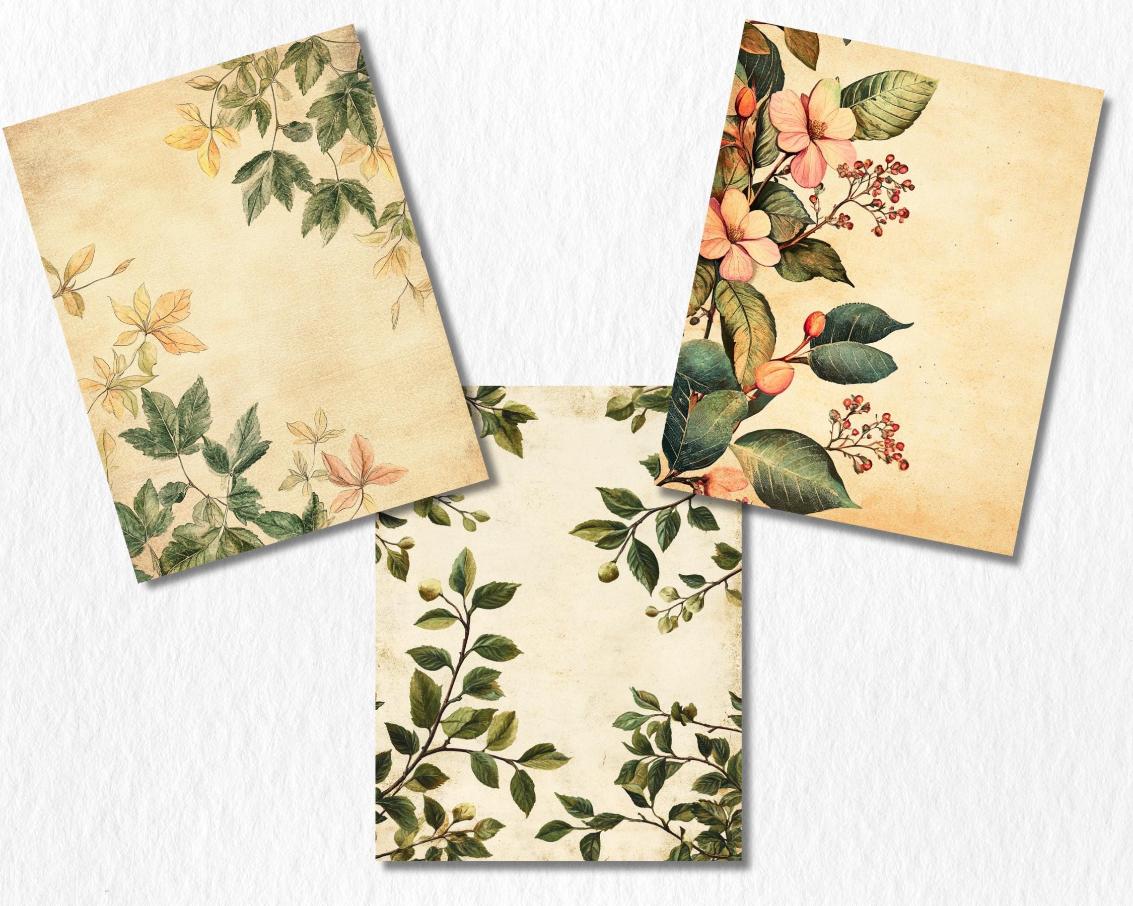 Vintage Botanical Digital Paper | Antique Floral Background, Flower Backdrops, Crafting, Printable | Download for Journals & Scrapbooking