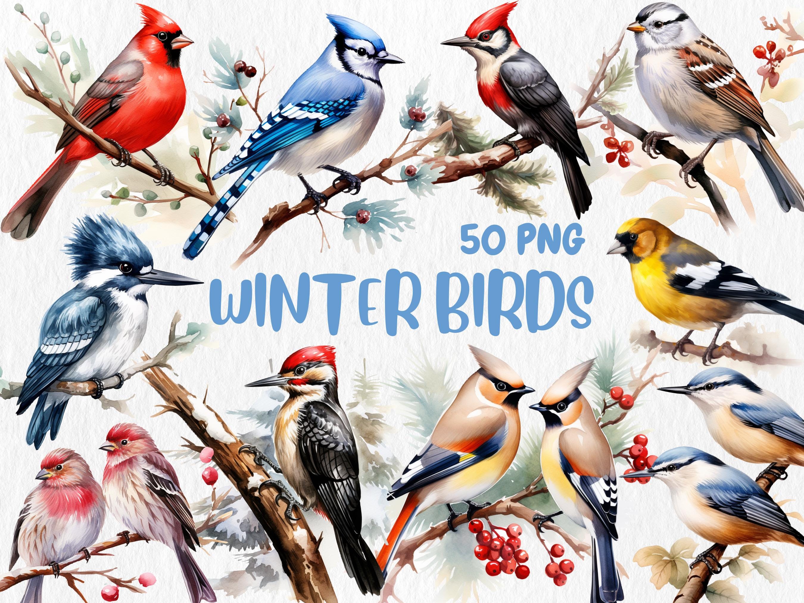 Watercolor Winter Mega Clipart Bundle #2 | January, Snowman, Winter Animals, February, Scandinavian Winter | Instant Download, Commercial Use